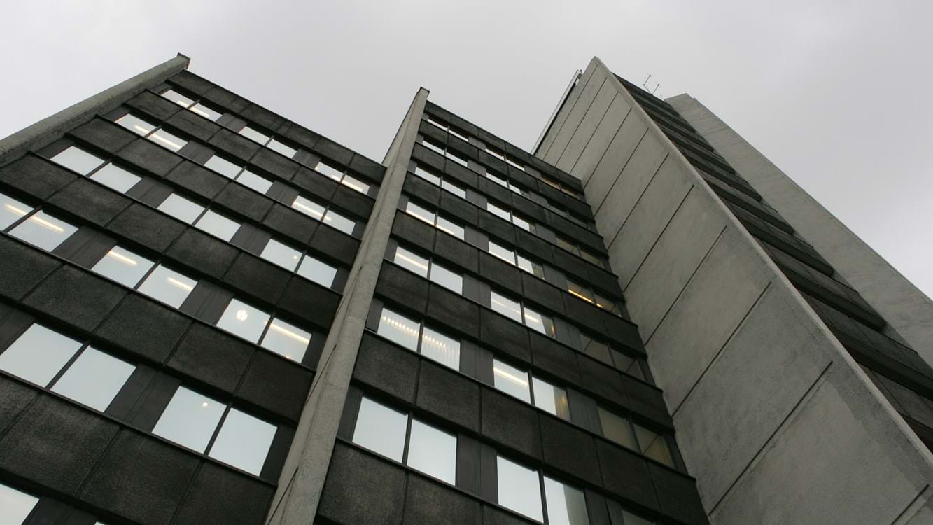 mynd106.JPG