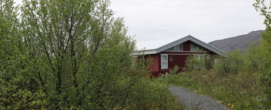 Midhusaskogur_05.jpg