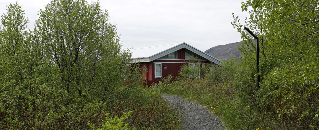 Midhusaskogur_02.jpg