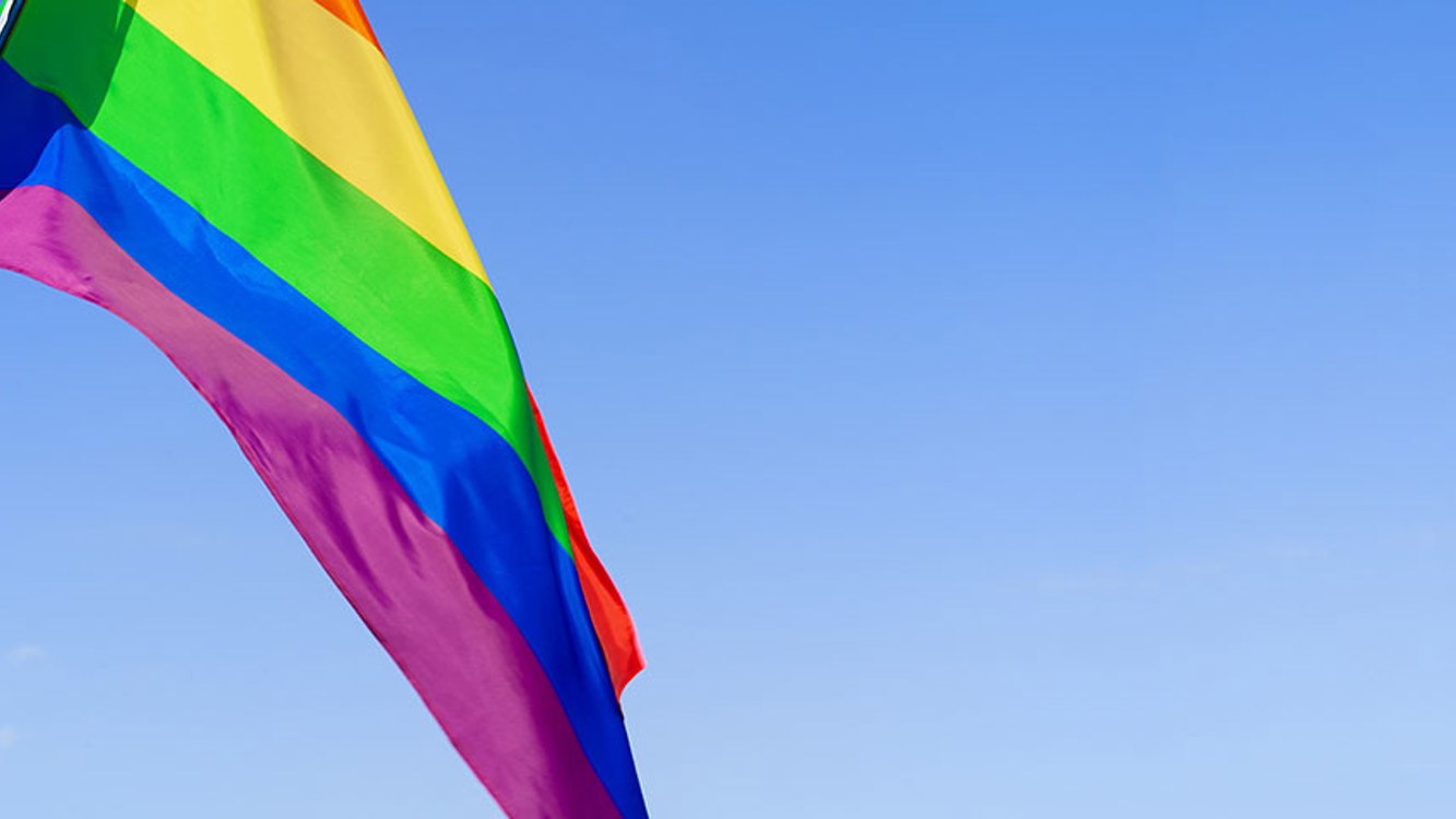 Pride Frettamynd