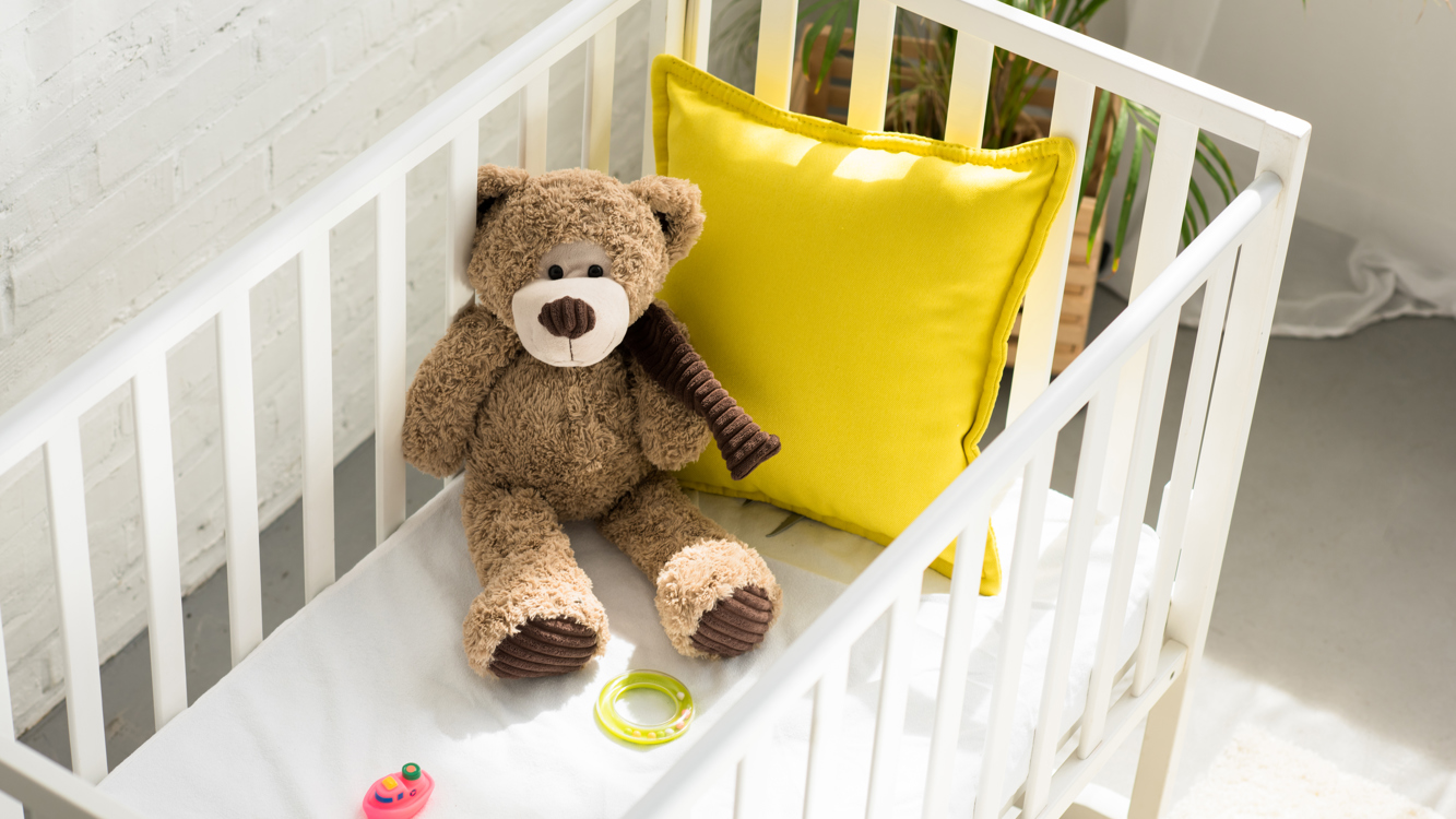High Angle View Of Teddy Bear Other Toys And Yell 2026 03 13 01 17 26 Utc