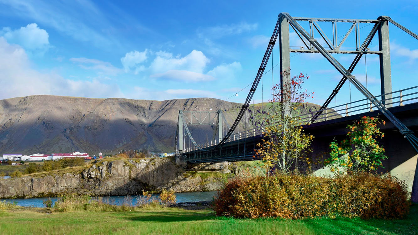 Selfoss Frettamynd