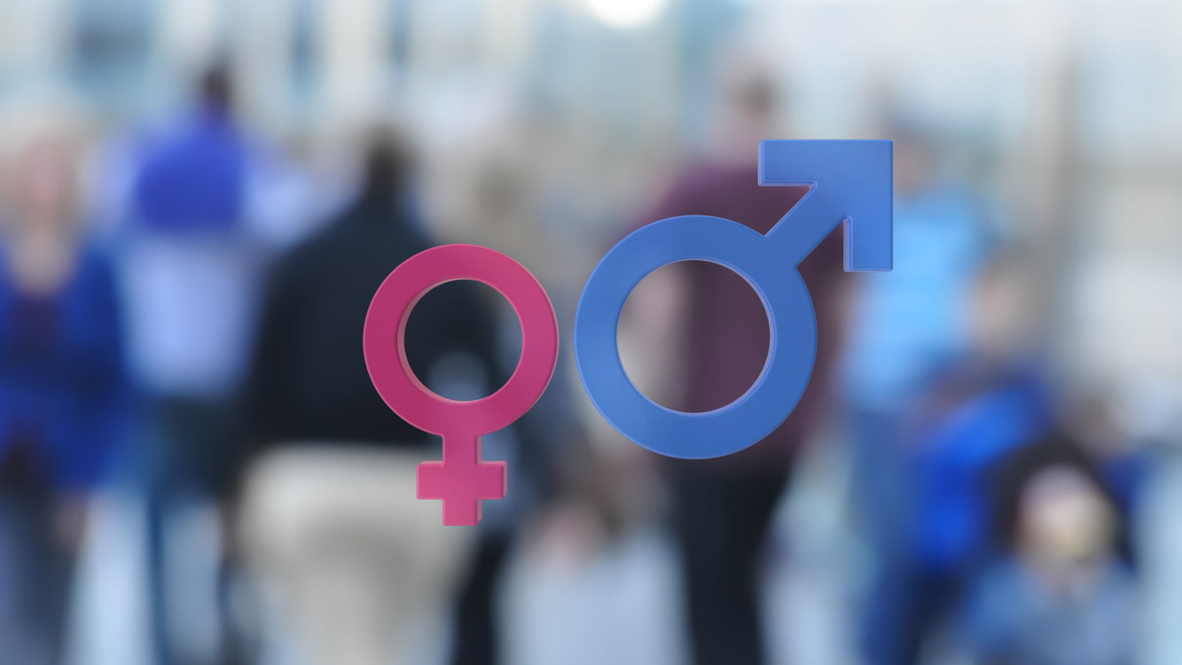 Malstofa Myndamix Copy