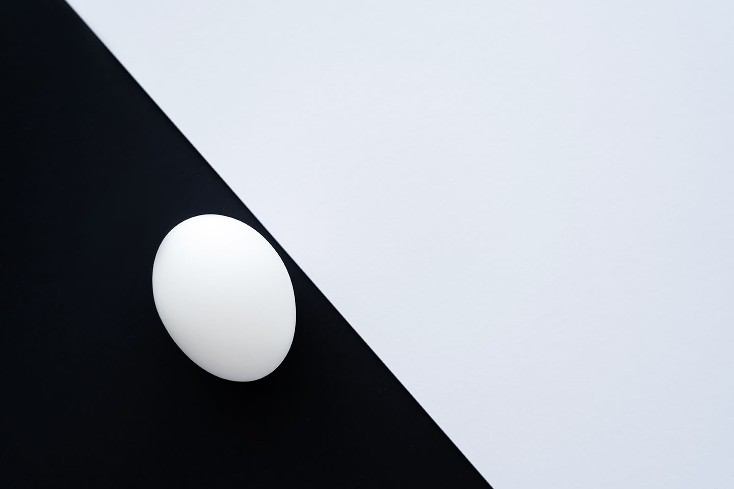 Egg Copy