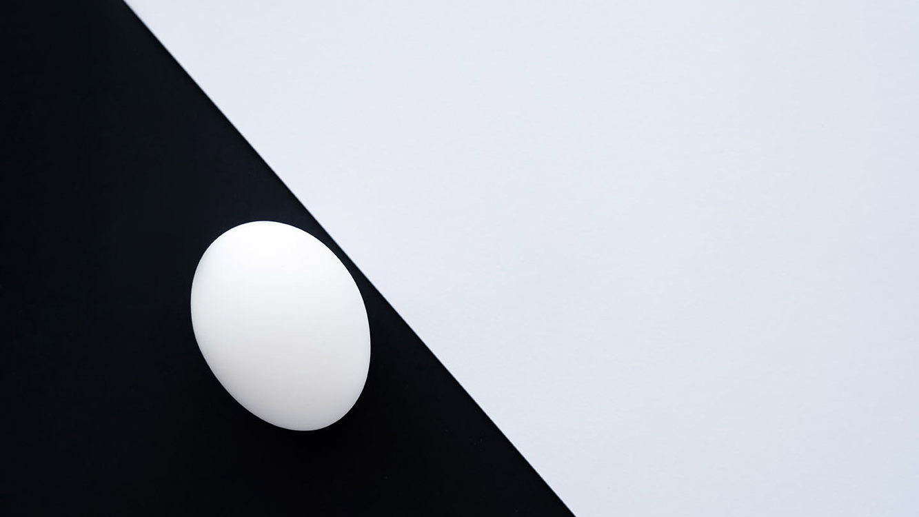 Egg Copy
